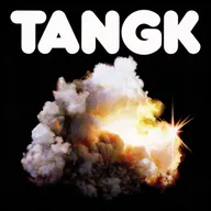 Cover of “TANGK” by IDLES
