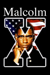 Official poster for Malcolm X