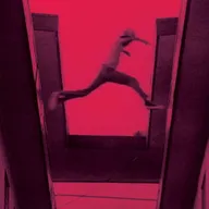Cover of “The Ecstatic” by Mos Def